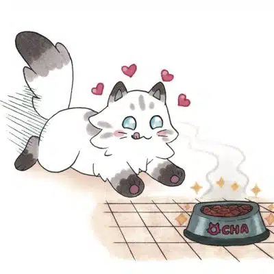 Carte "Ocha chat perché et sa gamelle"