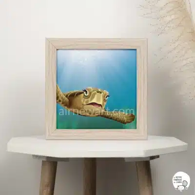 Joséphine la tortue