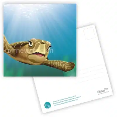 CARTES FLIPÉO